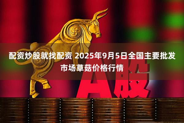 配资炒股就找配资 2025年9月5日全国主要批发市场草菇价格行情